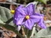 OutbackQueensland1