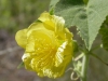 OutbackQueensland2