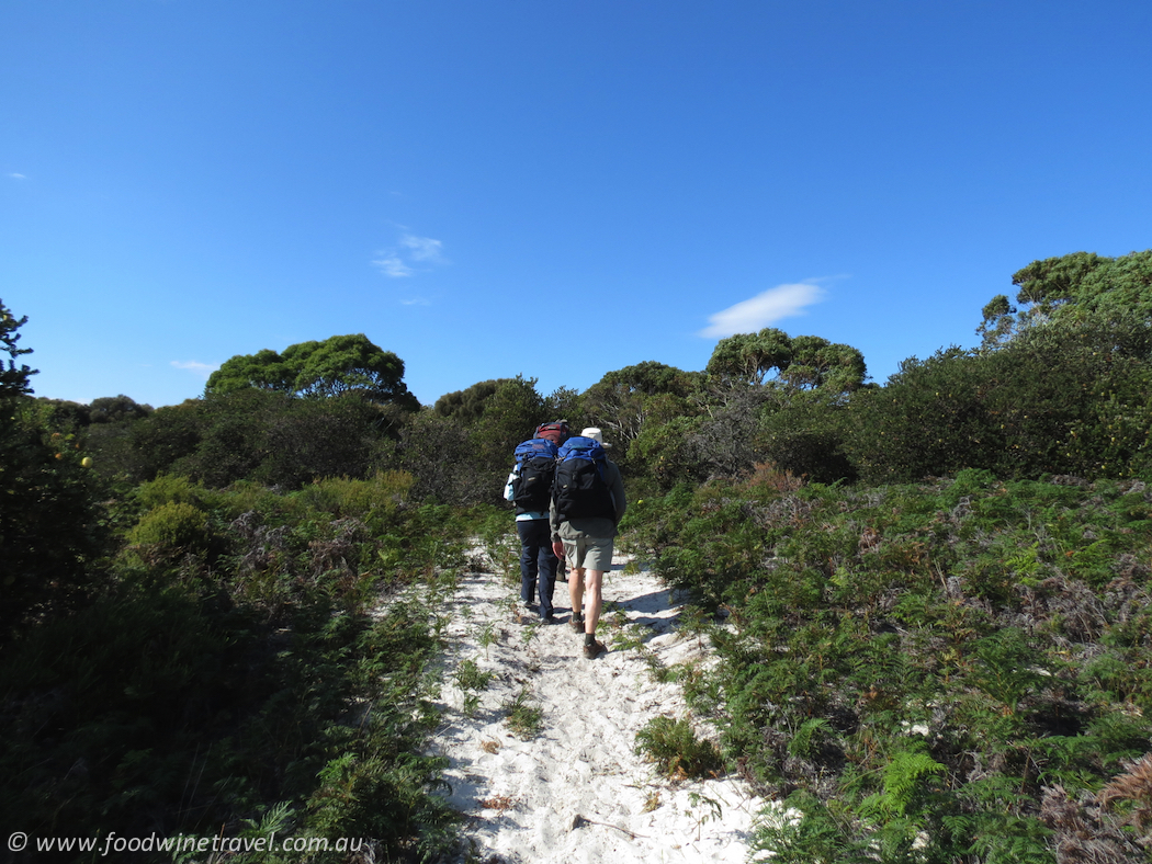 Slow down and see the world on foot. Here are 5 fabulous walking holidays in Australia, Spain, France and Switzerland.