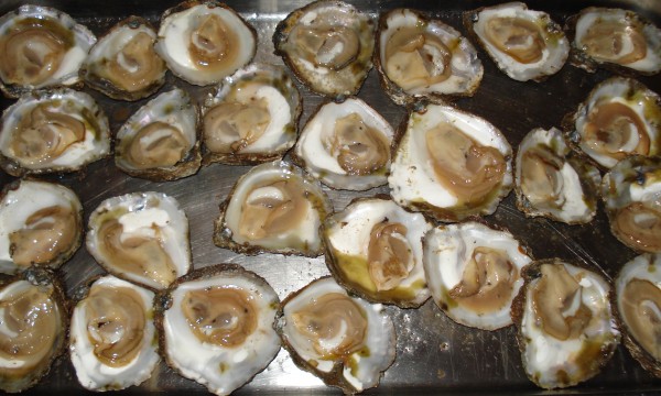 Galway Oysters