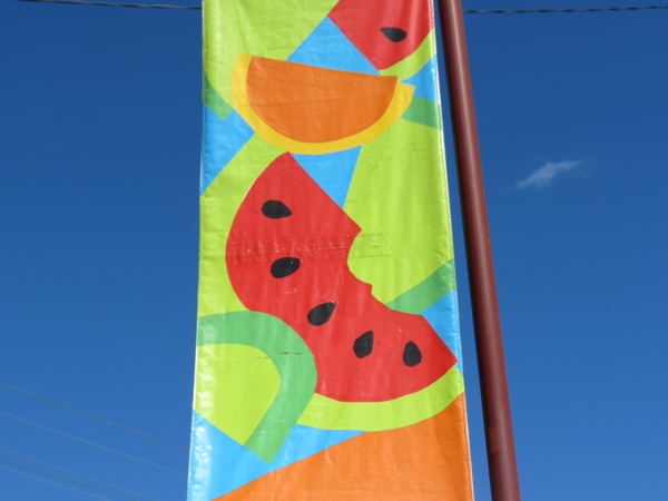 It’s Raining Melons in Chinchilla