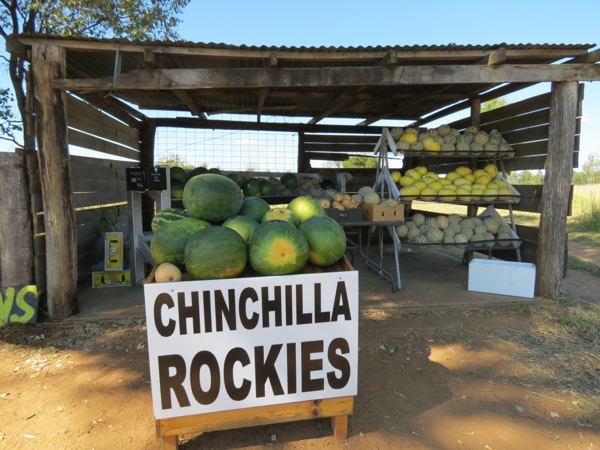 20120409-164948.jpg