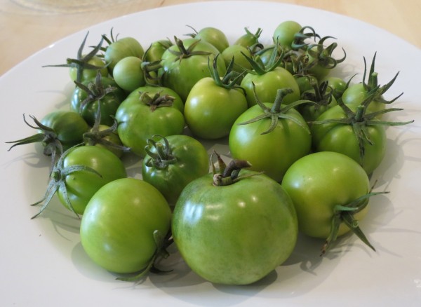 Green Tomatoes