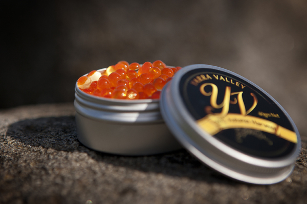 Yarra Valley Caviar Yarra Valley Caviar