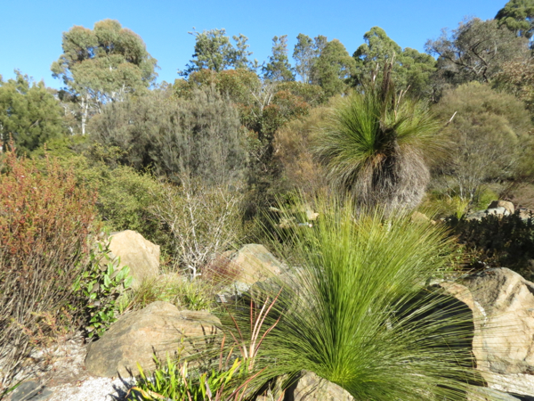 Australian National Botanic Gardens