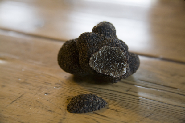 Truffle