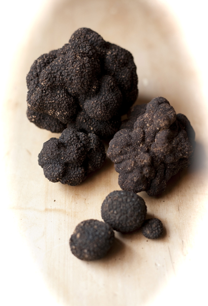 Truffles1