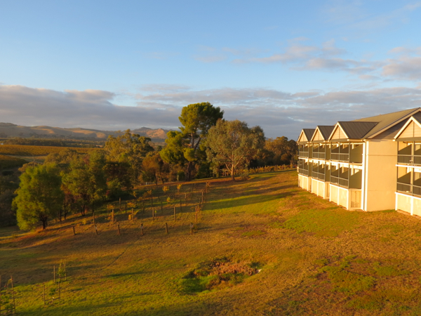 Sunrise at Novotel Barossa Valley