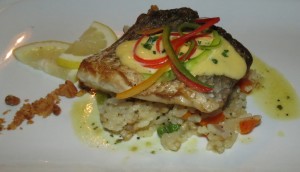 Barramundi