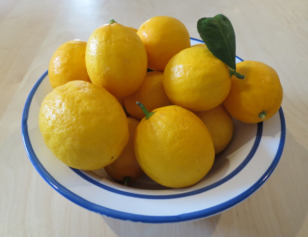 Lemons