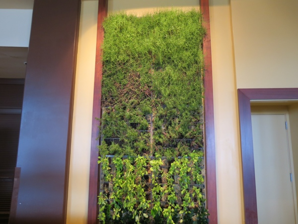 Sheraton Waikiki: Living Walls