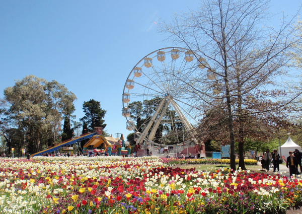 Ferris Wheel