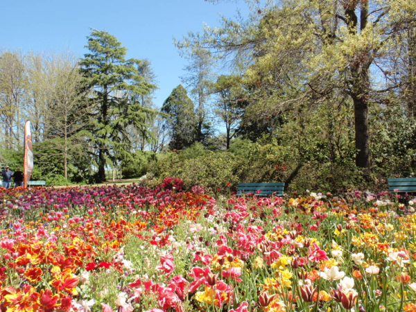 Floriade: Time To Stop And Smell The Flowers