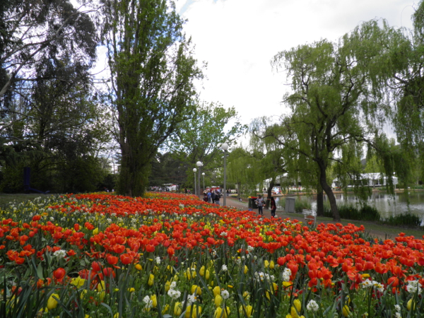 Floriade General