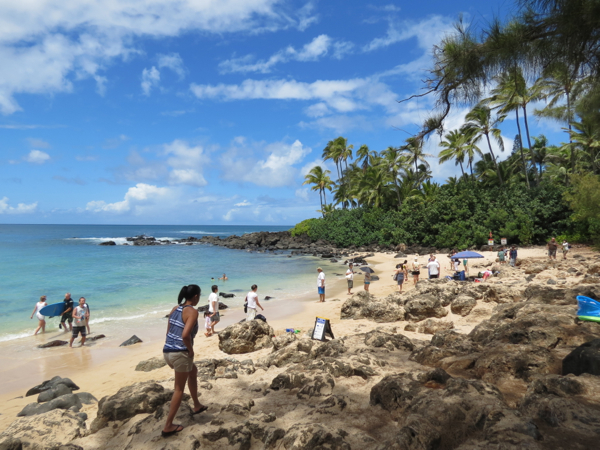 Laniakea Beach