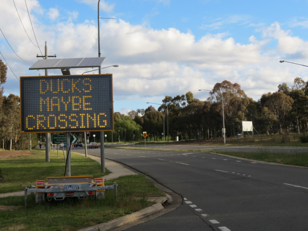 Ducks May Be Crossing Sign, Haydon Drive, Bruce