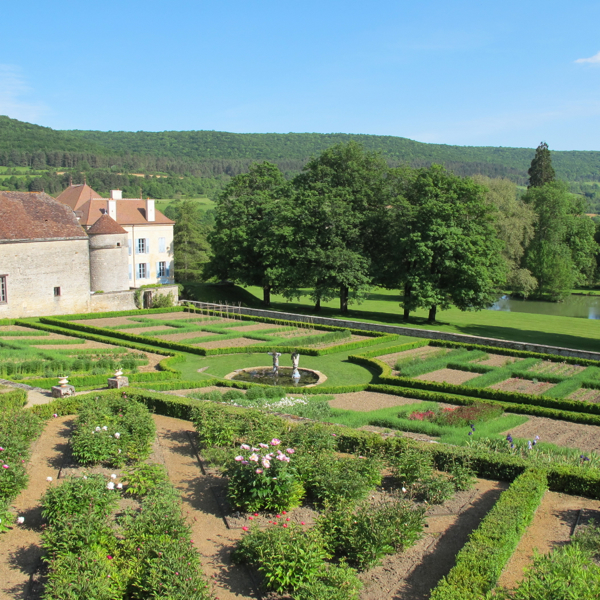 tastes of burgundy 