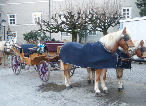 Vienna, APT Rhine River cruise