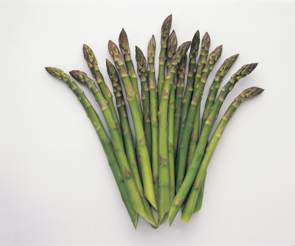 Recipes using asparagus