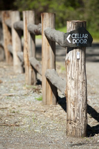 Battle of Bosworth cellar door, McLaren Vale