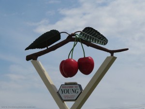 Cherry Sign