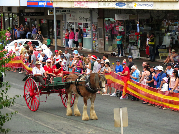 Clydesdale