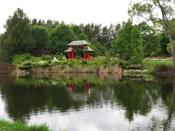 Chinese Tribute Garden Gate