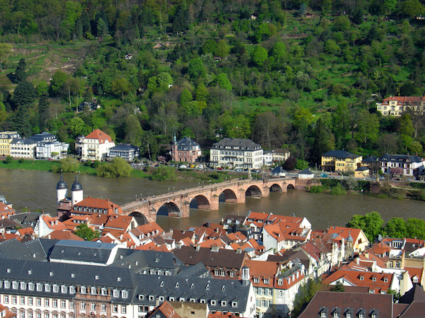 Rhine River Dreaming