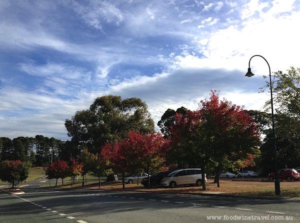 Autumn at Gold Creek, Canberra.