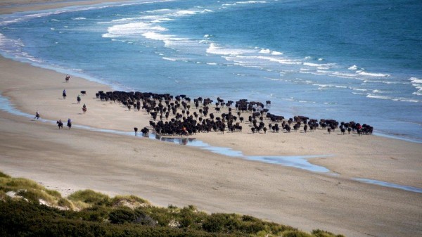 Taste Of Sydney Meets Tasmania