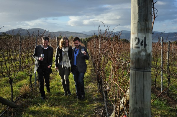 Tasmanian winemakers