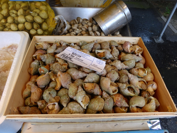 Snails at fresh food market at Conflans Ste Honorine by the Seine River near Paris.