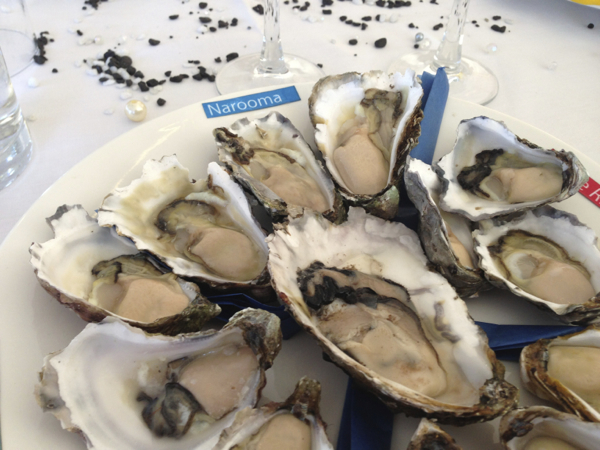 Narooma Oysters