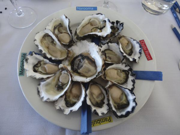 Ultimate Oyster Experience, Narooma Oyster Festival