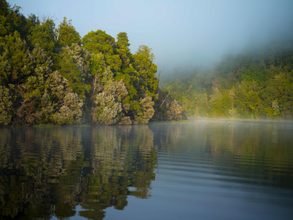 www.foodwinetravel.com.au Pieman River, Tarkine, Tasmania. Steve Parish, Australia's most recognised wilderness photographer, will host a workshop in Tasmania’s pristine Tarkine region from August 18 to 23.
