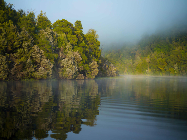 Steve Parish Photography Workshop