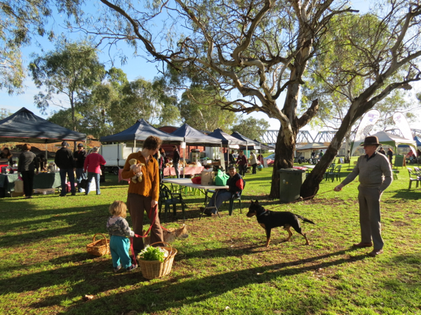 Murray Bridge Farmers Market is one of the stops on Captain Cook Cruises' Murray Princess cruise.