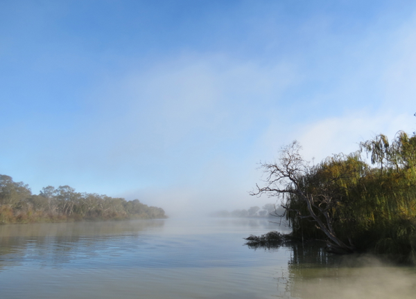 Cruising on Captain Cook Cruises’ Murray Princess; sunrise at Saltbush Flat on the Murray, Australia’s longest single river.