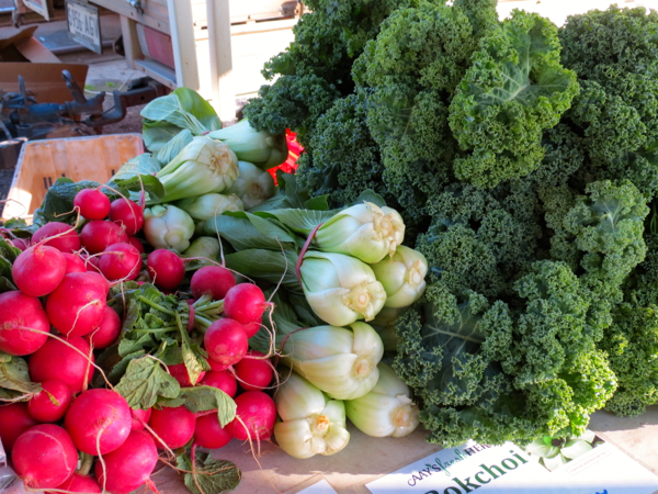 Murray Bridge Farmers Market is one of the stops on Captain Cook Cruises' Murray Princess cruise.