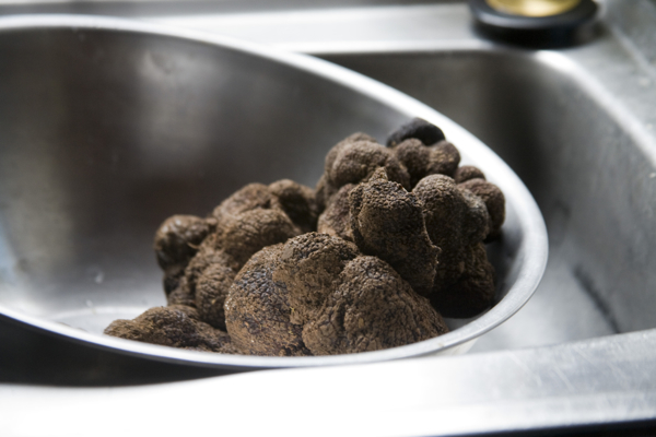 Canberra Truffles