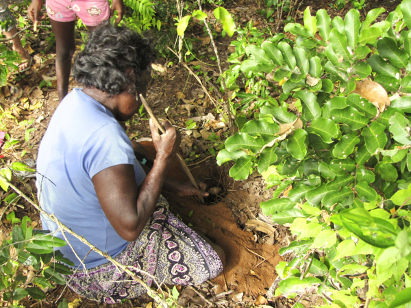 www.foodwinetravel.com.au Laklak Burarrwanga is an Aboriginal elder in Arnhem Land, Northern Territory. Bawaka Country sustains a proud and successful Indigenous community. Welcome To My Country (Allen & Unwin) tells the story of the Yolngu people.