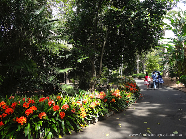 home to an outstanding collection of plants from Australia and overseas