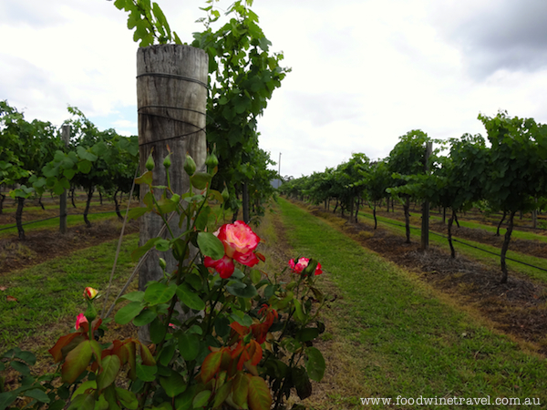 www.foodwinetravel.com.au Whispering Brook. Christine Salins reports on the Broke Fordwich wine region, the Hunter Valley's hidden gem.