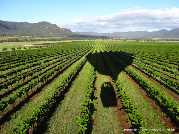 Hot Air Ballooning, Broke Fordwich, Hunter Valley, Christine's top travel experiences for 2013, www.foodwinetravel.com.au