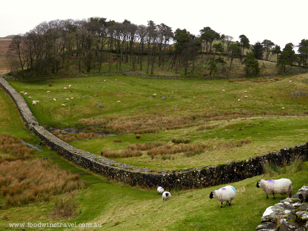 Hadrian's Wall