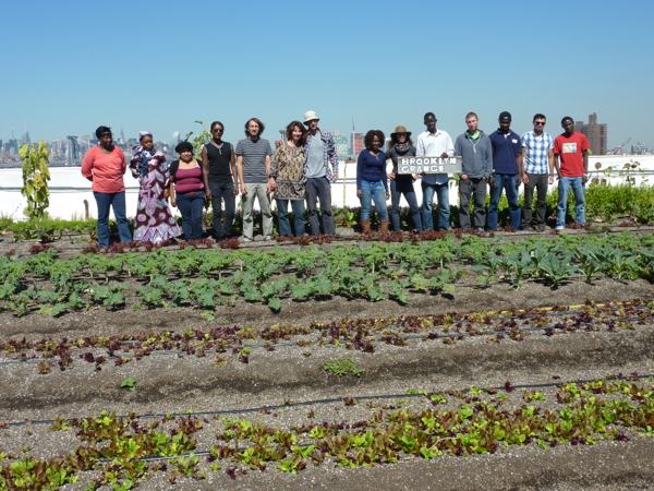 Brooklyn Grange Navy Yard Farm New York rooftop farm tour with Indira Naidoo www.foodwinetravel.com.au