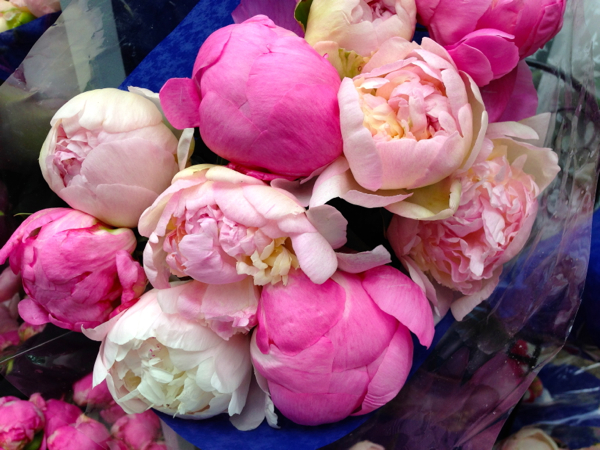 Portland Farmers Market In Bloom