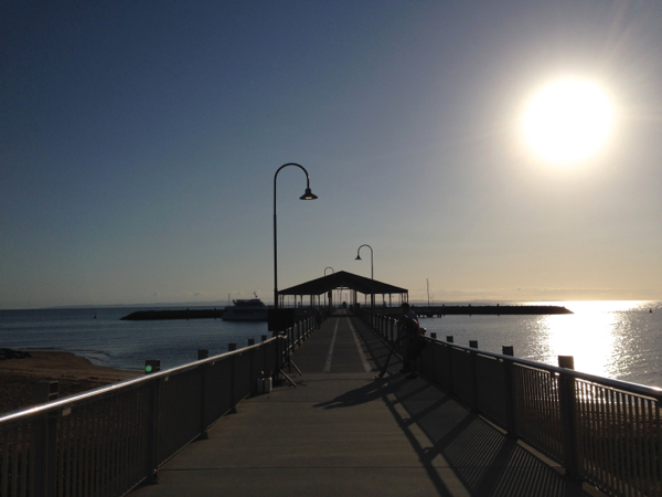 Redcliffe Jetty, Bugs on the Beach