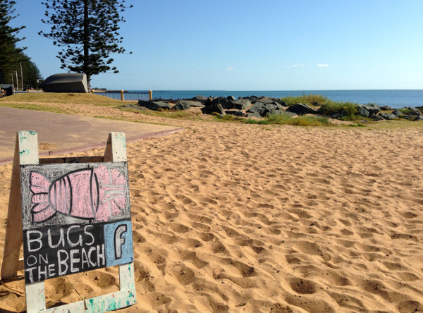 www.foodwinetravel.com.au, Bugs on the Bech, Rotary Club of Redcliffe, G20, Redcliffe peninsula, 