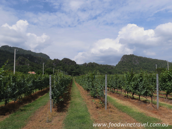 Granmonte Vineyard Thailand